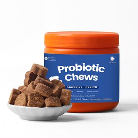 Pet Probiotic Soft Chews Manufacturer - OEM Digestive Enzymes Skin Coat Health Bottles