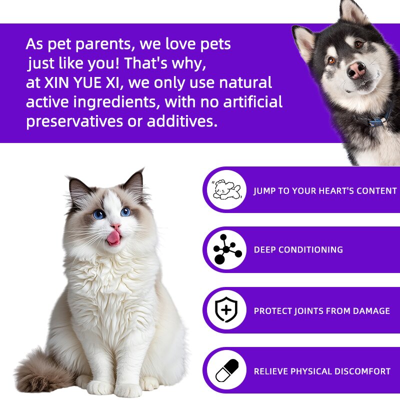 Pet Joint Soft Chews Manufacturer - Chondroitin Iron Zinc Natural Safe Fast Absorption