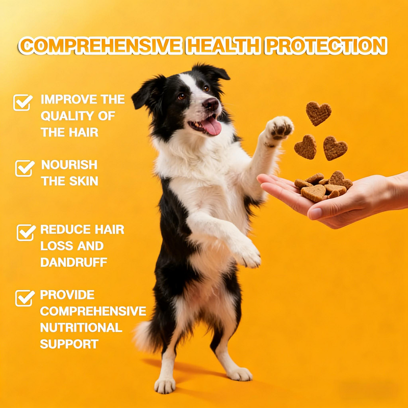 Dog Probiotics Soft Chews Manufacturer - Lecithin for Digestive Skin Coat Anti-Shedding