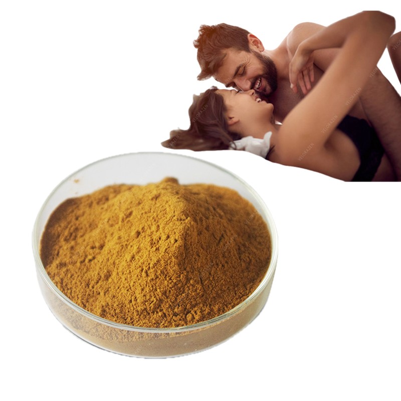 Hot Selling Damiana Leaf Extract Powder Manufacturer - Natural Ingredient for Improved Sexual Health with Wholesale