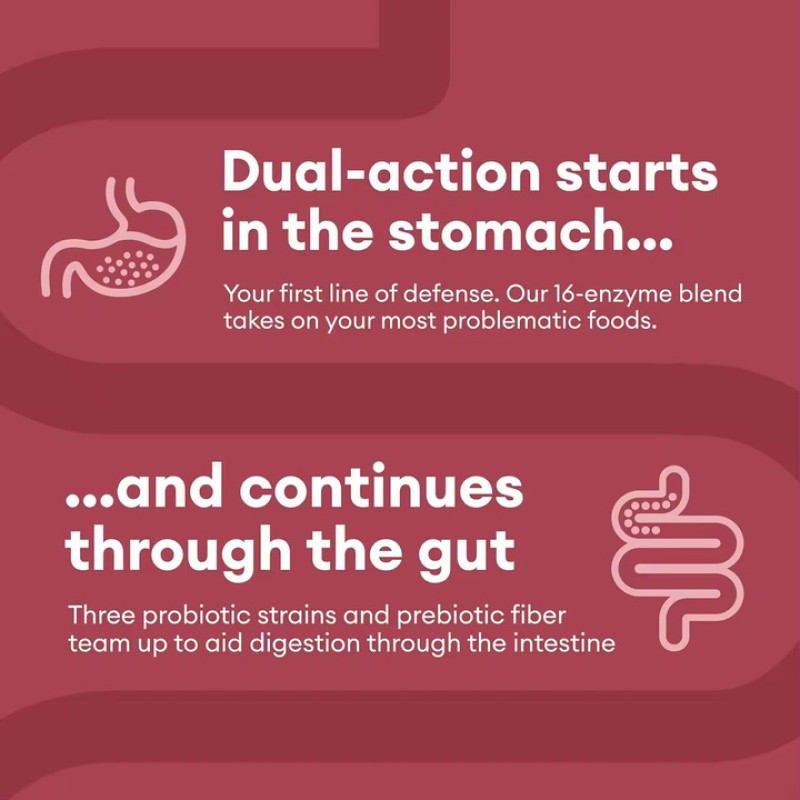 OEM Private Label Digestive Enzyme Supplement Manufacturer - Health Probiotics Prebiotics Capsules for Gut Health