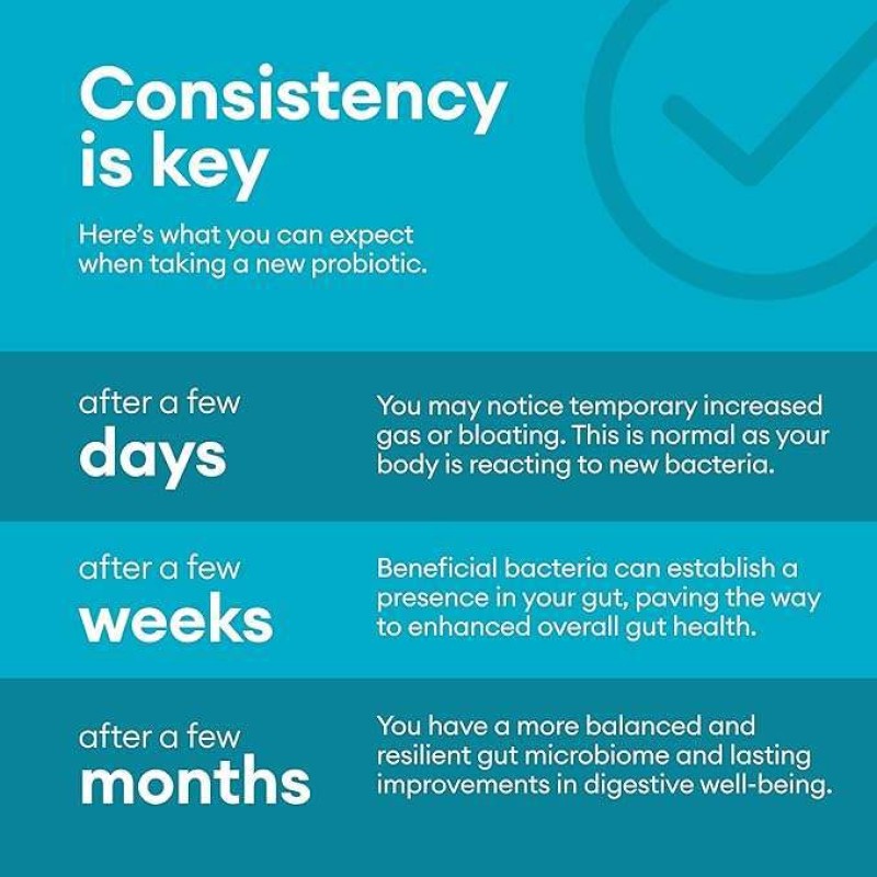 OEM Probiotics 60 Billion CFU Manufacturer - 10 Diverse Strains with Organic Prebiotic for Digestive Gut Health