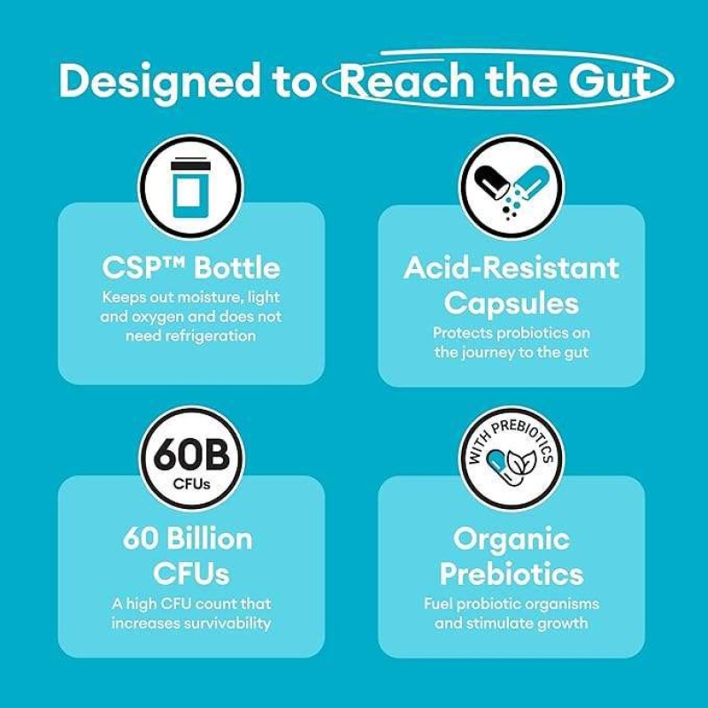 OEM Probiotics 60 Billion CFU Manufacturer - 10 Diverse Strains with Organic Prebiotic for Digestive Gut Health