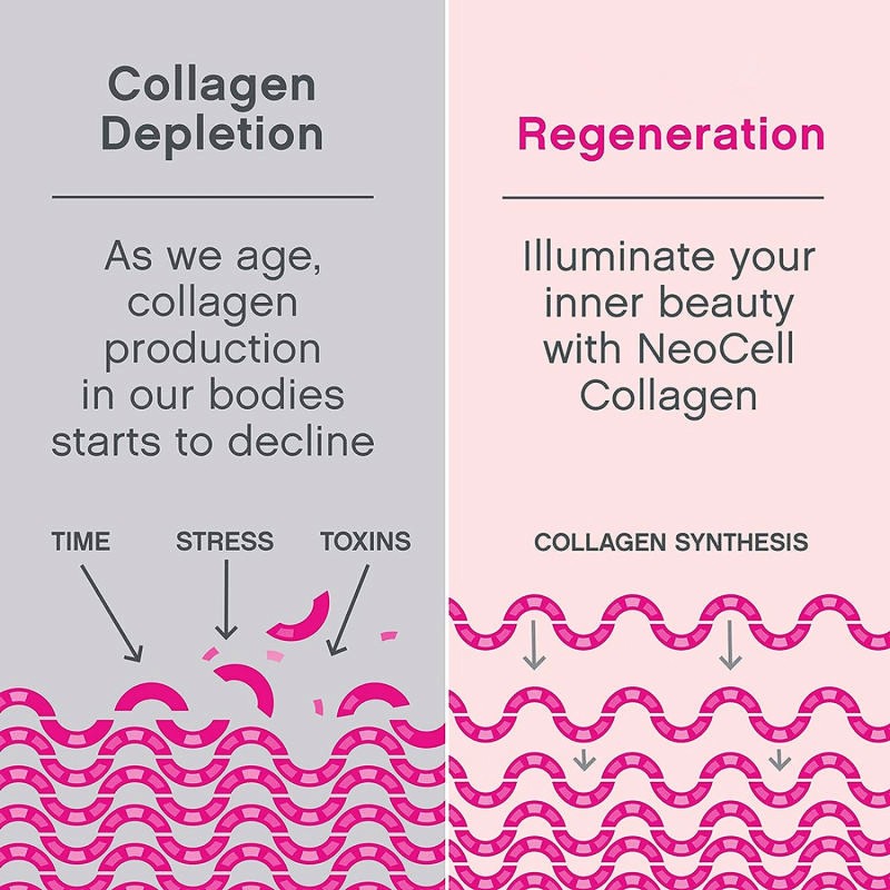 OEM/ODM/OBM Factory Custom Hydrolyzed Collagen Powder Manufacturer with Private Label Services