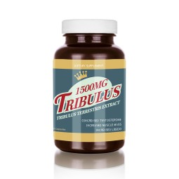 Enhance Energy Endurance Supplement Super Gummy Complex Manufacturer - Man's Health Gummies with Custom Manufacturing