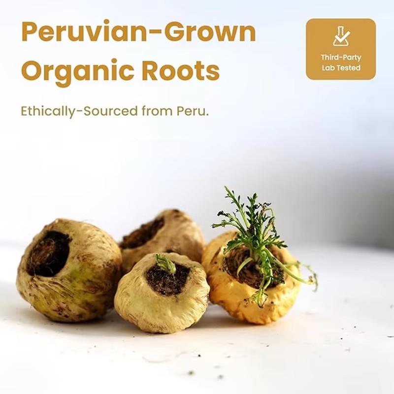 Wholesale XXXXL Maca Ginseng Capsule Manufacturer - Men Energy Support Maca Root Capsule Natural Booster