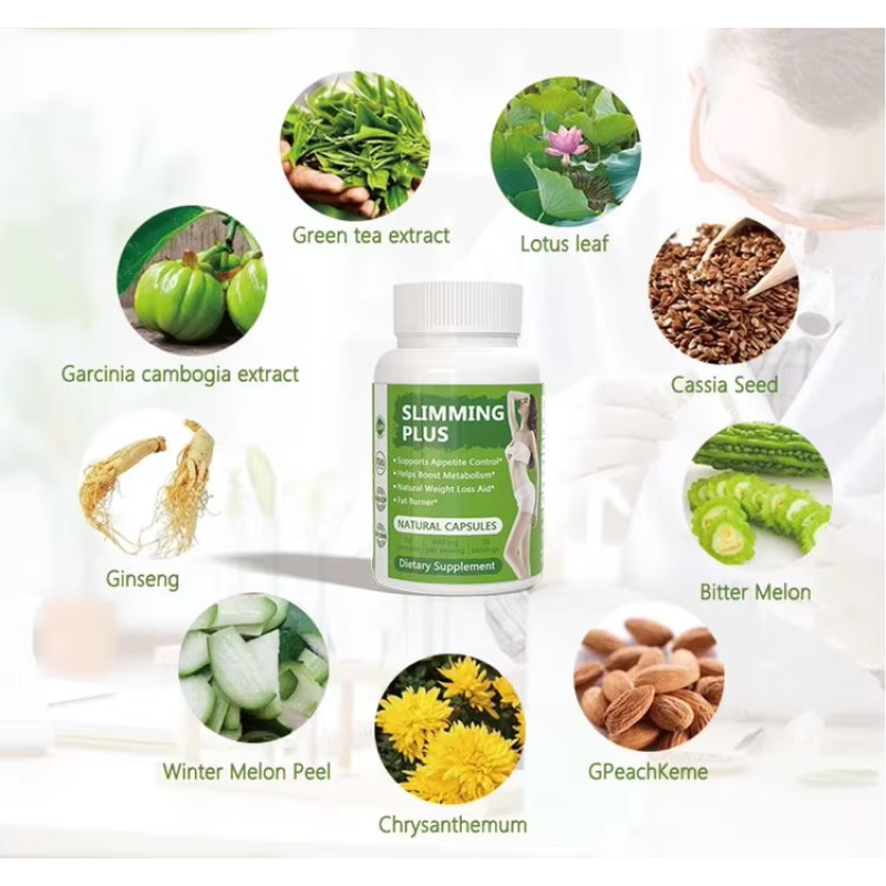 Source Factory for Effective Detox Slimming Capsules - Fat Burner Capsules Adult Weight Loss Herbal Supplements