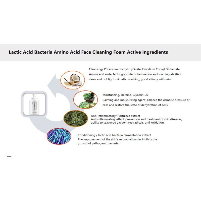 Face Cleansing Foam Manufacturer - 500ML Amino Acid for Sensitive Acne Skin & Private Label
