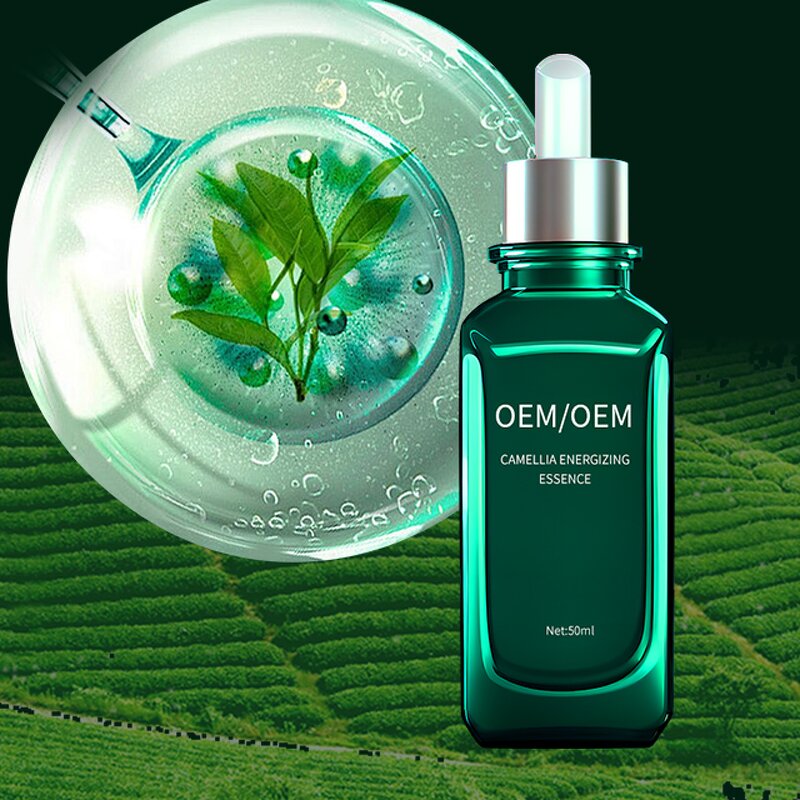 Green Tea Serum Manufacturer - Brightening Anti-acne Water-Oil Balance Camellia