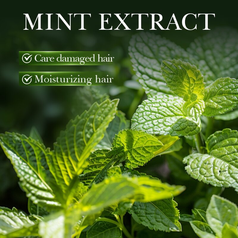 Hair Care Oil Manufacturer - 250ml Rosemary Peppermint for Strengthening Hair-Loss Prevention & OEM ODM