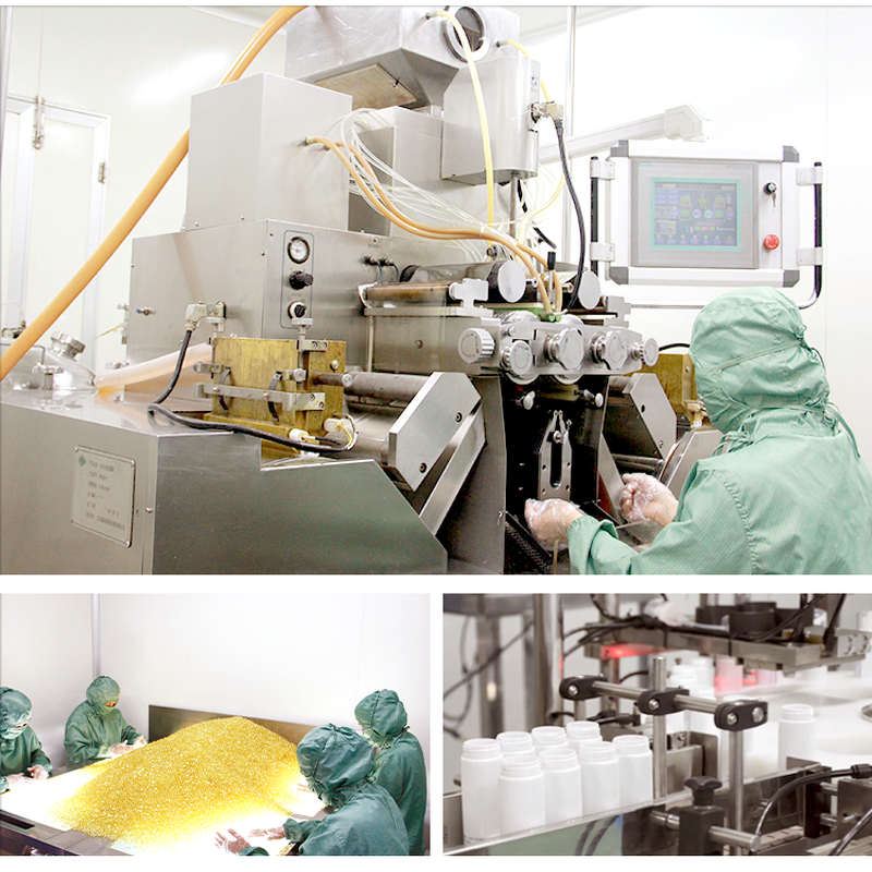 Maxman Plus Capsule - IN BULK 400mg Ginseng Velvet Antler Immune Support for Man