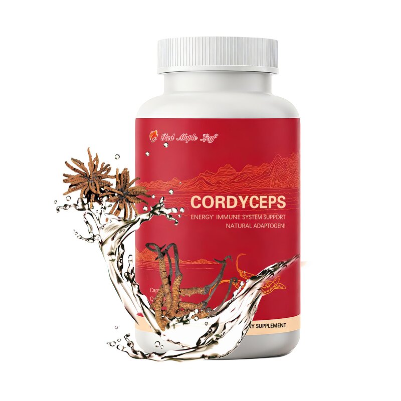Cordyceps Ginseng Extract - Premium Immune Support Energy Boost Herbal Supplement