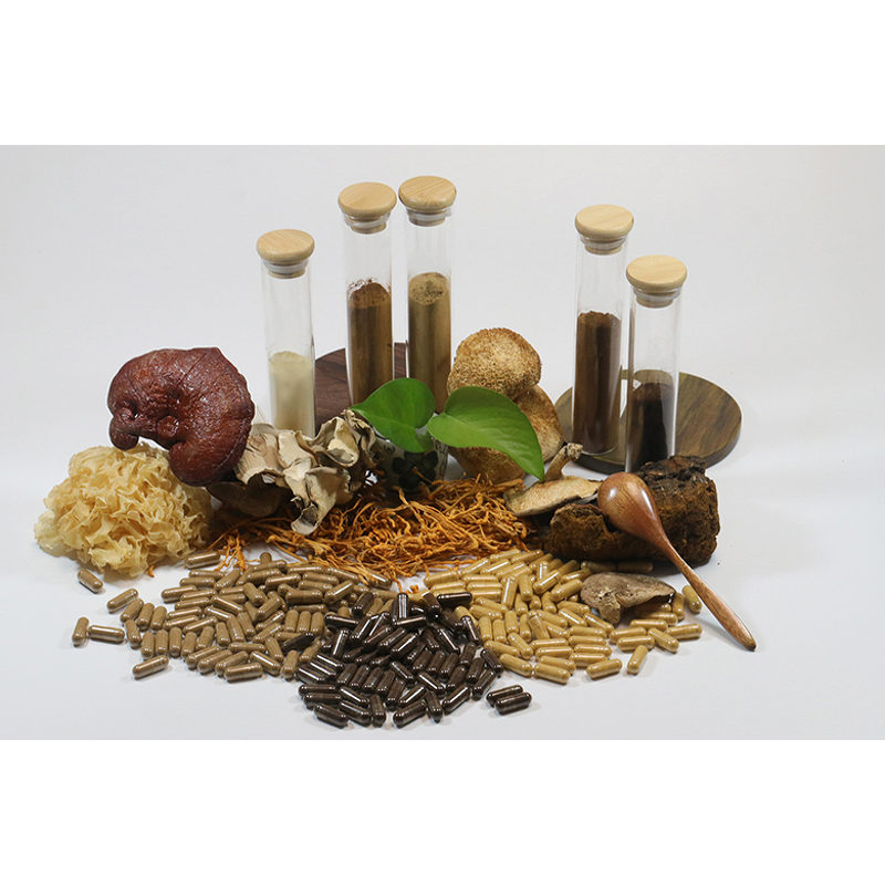 Ganoderma Lucidum Spore Powder - Factory Direct Reishi Mushroom Spore Powder