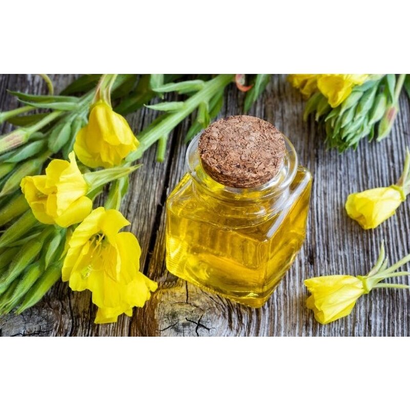 Evening Primrose Oil - High Quality Evening Primrose Extract Active Demand Bulk