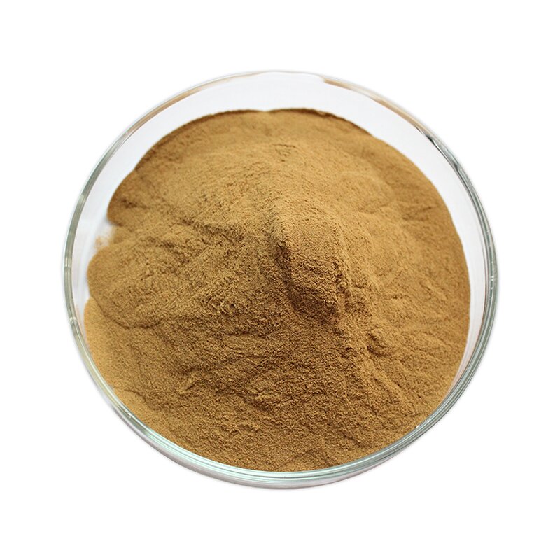 Ganoderma Lucidum Spore Powder - Factory Direct Reishi Mushroom Spore Powder
