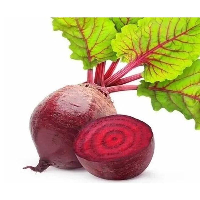 Red Beet Root Powder - Juice Powder Concentrate Dried Hot Sale Natural Bulk