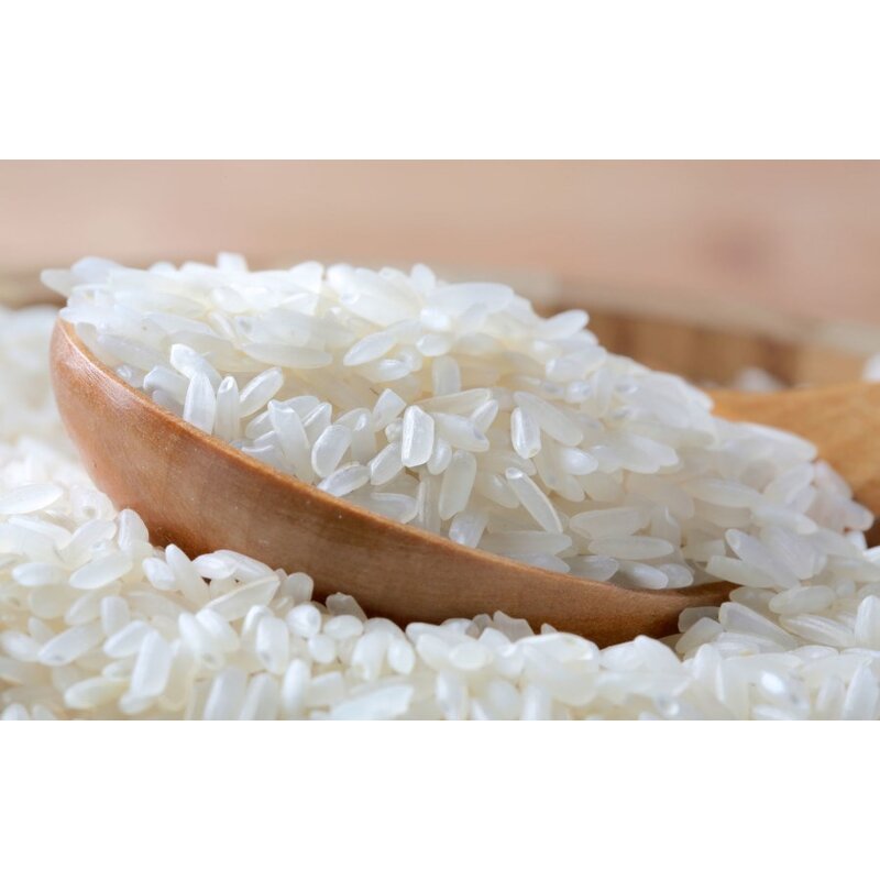 Rice Protein Powder - Good Price Vegan Protein for Private Label Bulk Supply