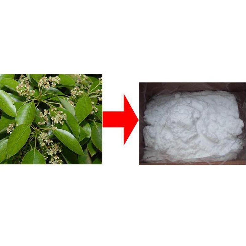 Synthetic Camphor Powder - Cosmetic Grade Bulk Synthetic Powder Wholesale Price