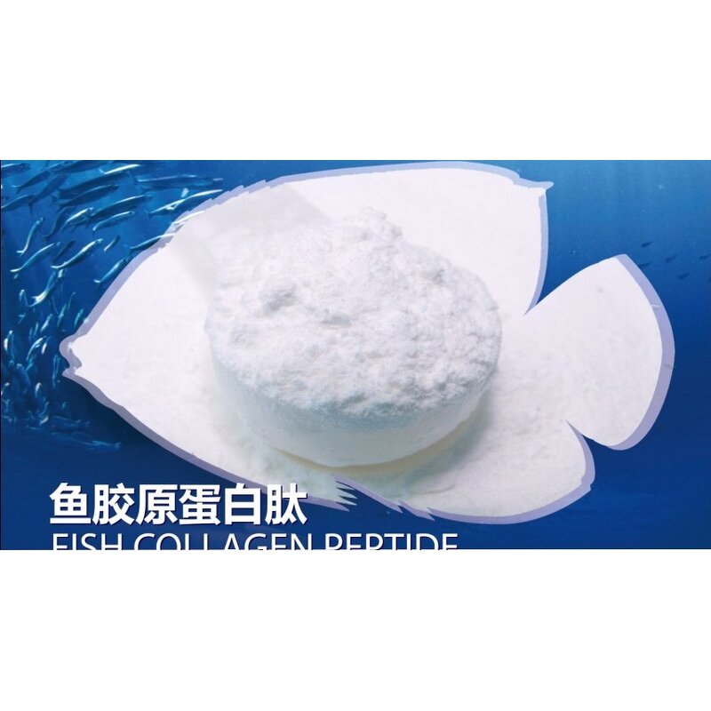Sturgeon Fish Collagen - 99% Purity Fish Collagen Peptide Powder Hot Sale