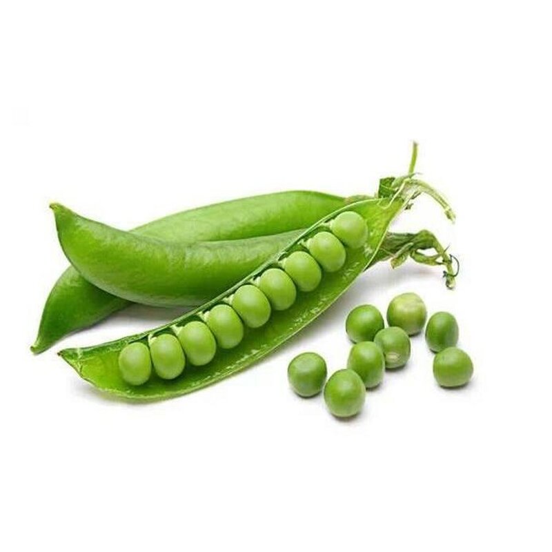 Pea Protein Isolate - Organic Natural Food Additive Pure Pea Protein Powder