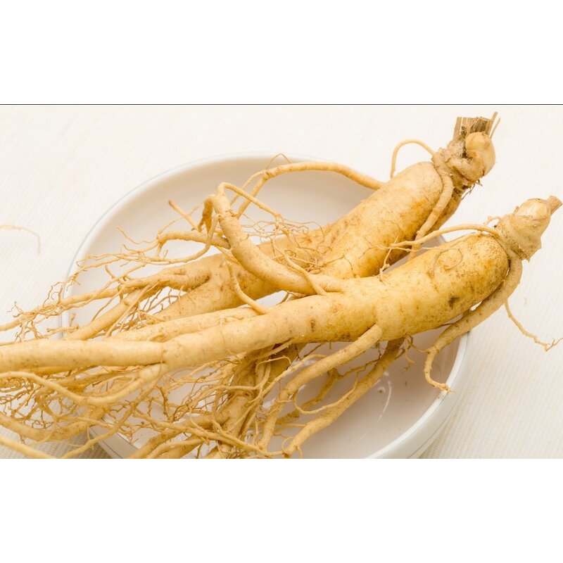 Ginseng Peptide - Hot Sale Ginseng Powder Fresh High Quality Factory Supply