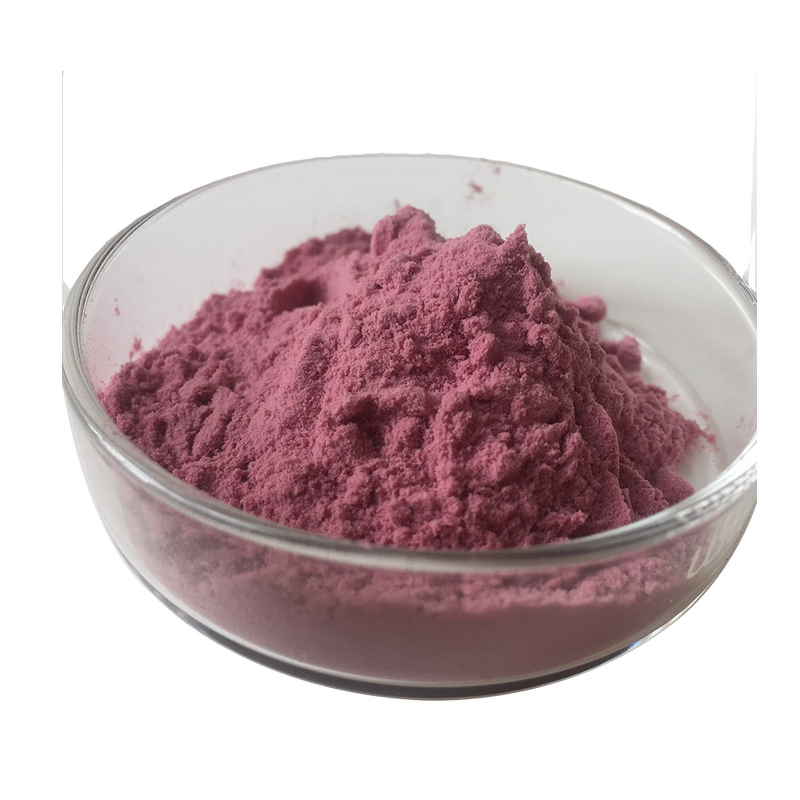 Plum Powder - 100% Natural Sour Plums Juice Powder Hot Sale Bulk Supply