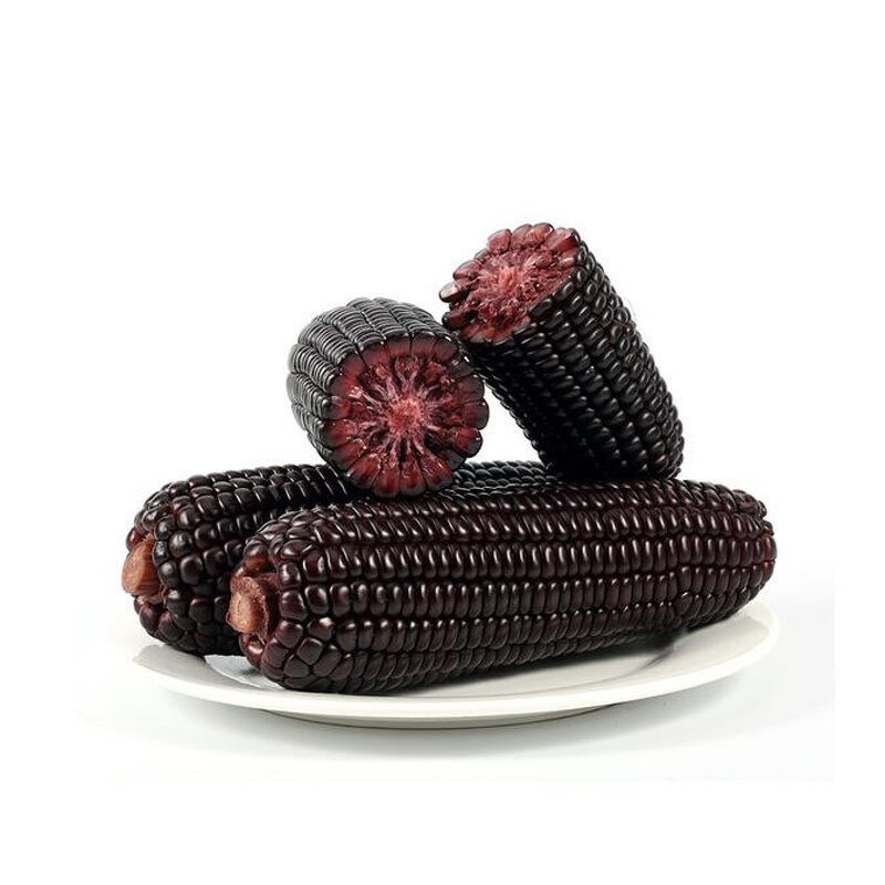 Purple Corn Flour Extract - Anthocyanin Rich Food Additive Natural Bulk Powder