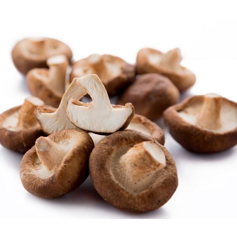 Mushroom Powder - Best-selling High Quality Mushroom Extract Bulk Supply