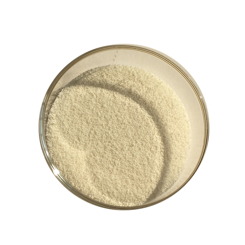 Sheep Placenta Powder - High Quality Natural Sheep Placenta Extract Bulk