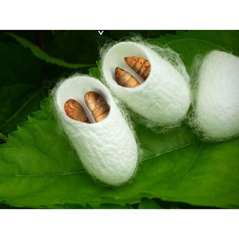 Silkworm Pupa Amino Acids - 98% Food Grade Silkworm Chrysalis Amino Acids