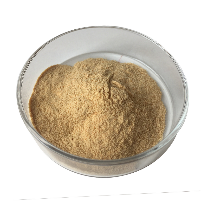 Mushroom Powder - Best-selling High Quality Mushroom Extract Bulk Supply