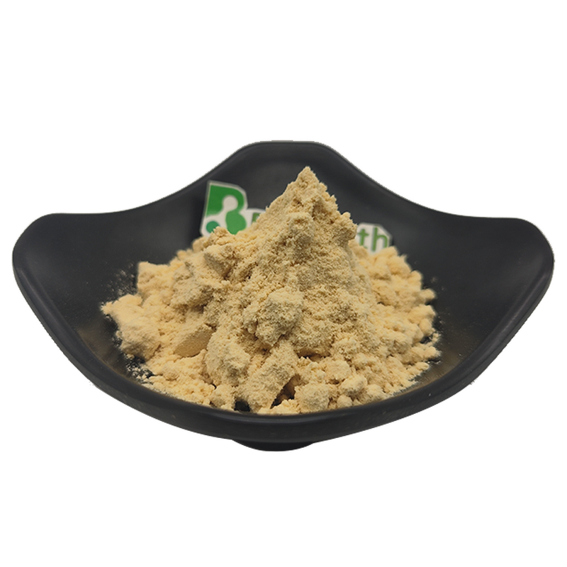 Soya Lecithin Powder - Food Grade Wholesale Factory Supply Pure Bulk