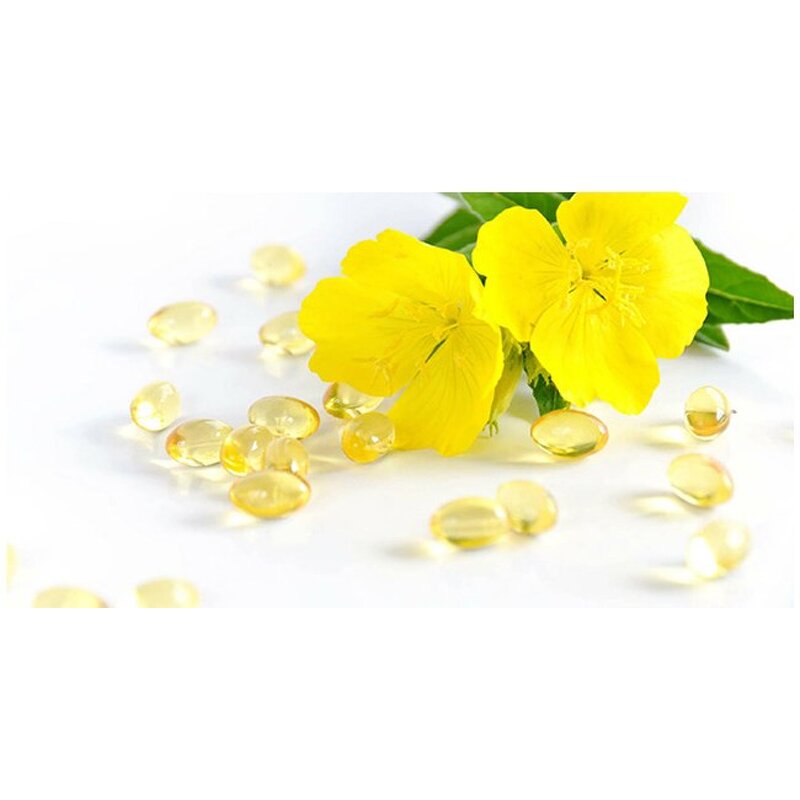 Evening Primrose Oil - High Quality Evening Primrose Extract Active Demand Bulk