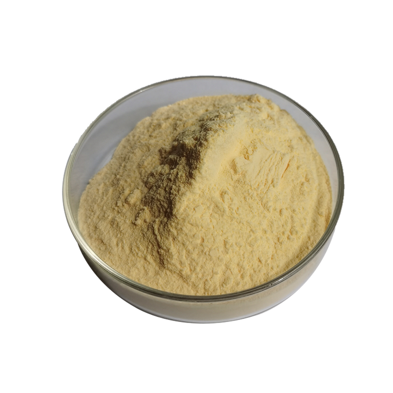 Freeze Dried Banana Powder - Natural Fruit Powder Supplier Bulk Wholesale