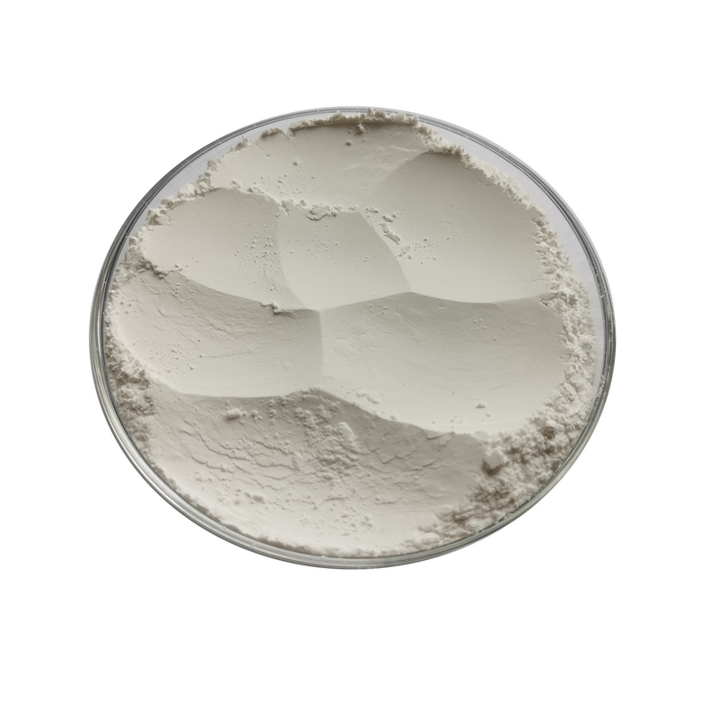 Whey Protein Isolate - Factory Supply Pure Powder for Health Care Supplement