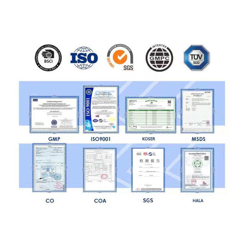 Mung Bean Peptides - High-Quality Food Additive Natural Protein Extract Bulk