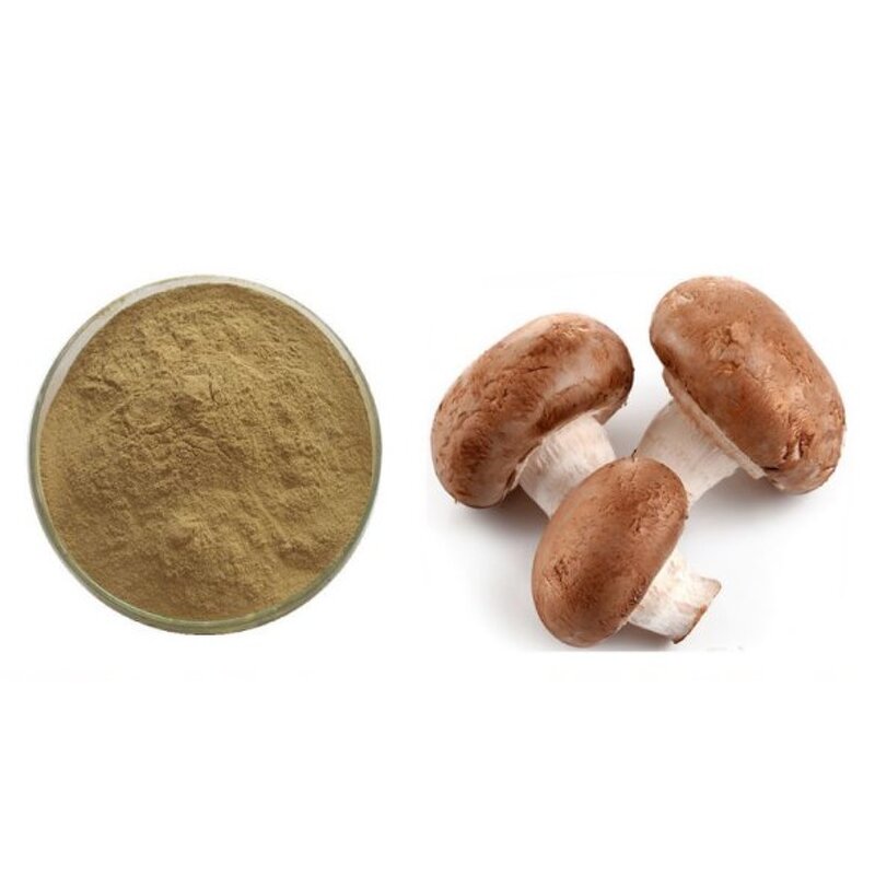 Lentinan Powder - 80% Natural Lentinan Extract Global Sales High Quality