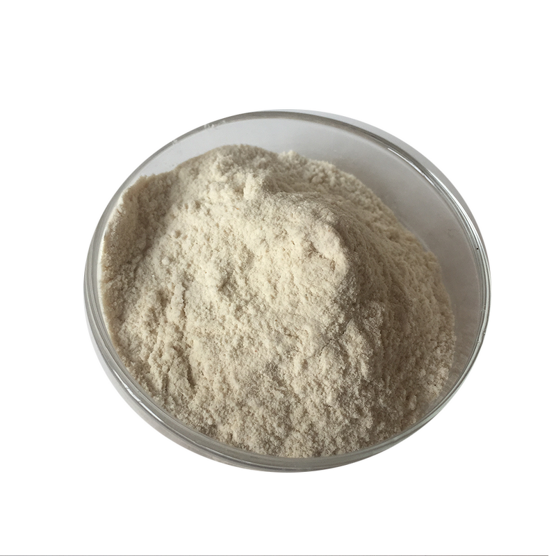 Pea Protein Isolate - Organic Natural Food Additive Pure Pea Protein Powder