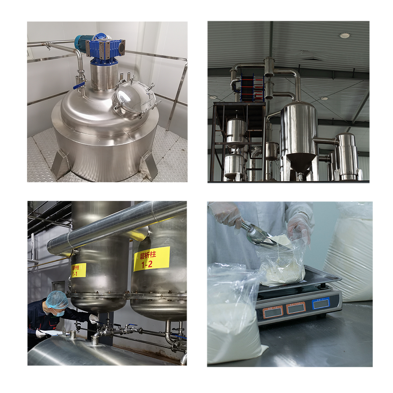 Cherry Fruit Powder Manufacturer - 100% Pure Cherry Extract Good Solubility Hot Sale