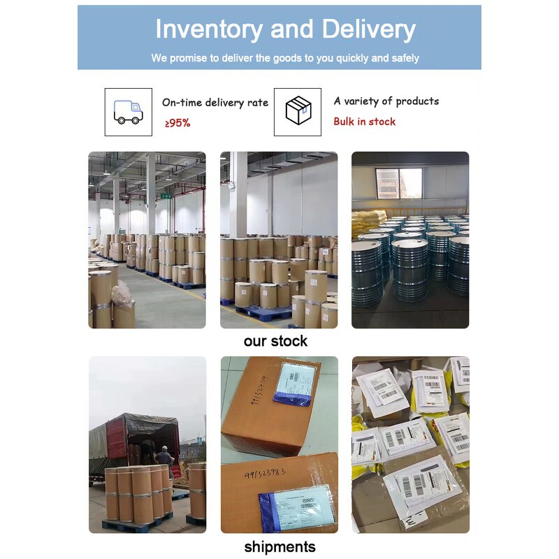 Plum Powder - 100% Natural Sour Plums Juice Powder Hot Sale Bulk Supply