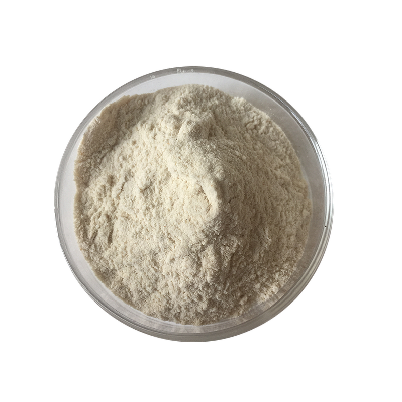 Chitosan Powder - Factory Supply Food Cosmetic Grade High Quality Pure Bulk