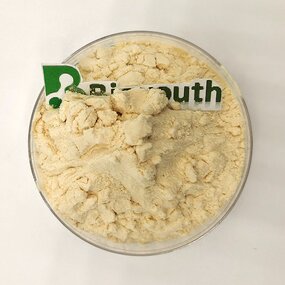 Clostridium Butyricum Powder - Wholesale Feed Additive Probiotics for Animal