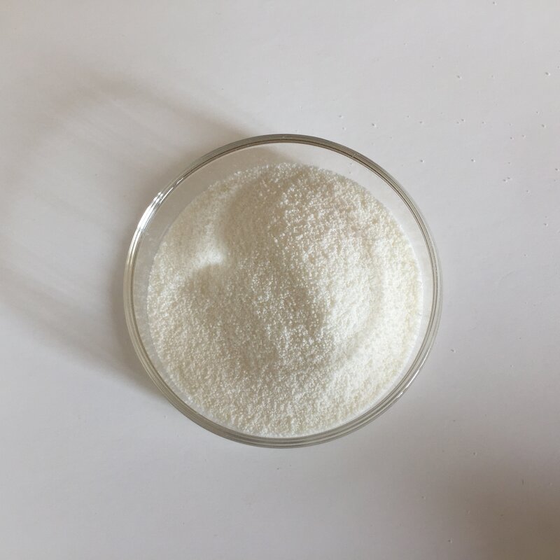 Lactobacillus Rhamnosus - Low Price Food Grade Probiotics Powder Bulk