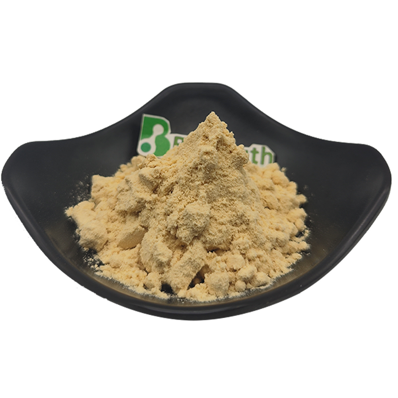 Soya Lecithin Powder - Food Grade Wholesale Factory Supply Pure Bulk