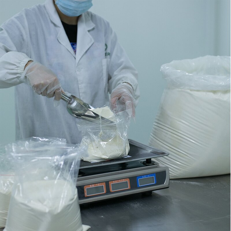 Lactobacillus Plantarum - Water Soluble Food Grade Manufacturer Wholesale Price