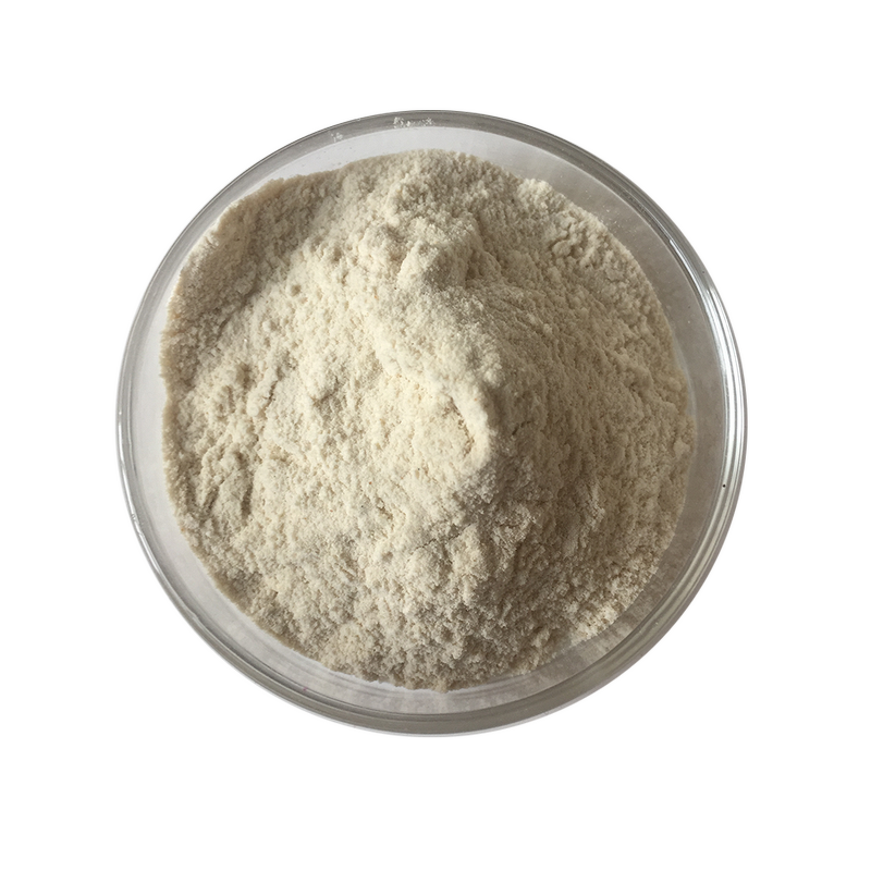 Catalase Enzyme Powder - Food Grade CAS 9001-05-2 Factory Supply Bulk