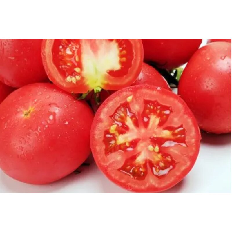 Freeze Dried Tomato Powder - Natural Fruit Powder Supplier Bulk Wholesale