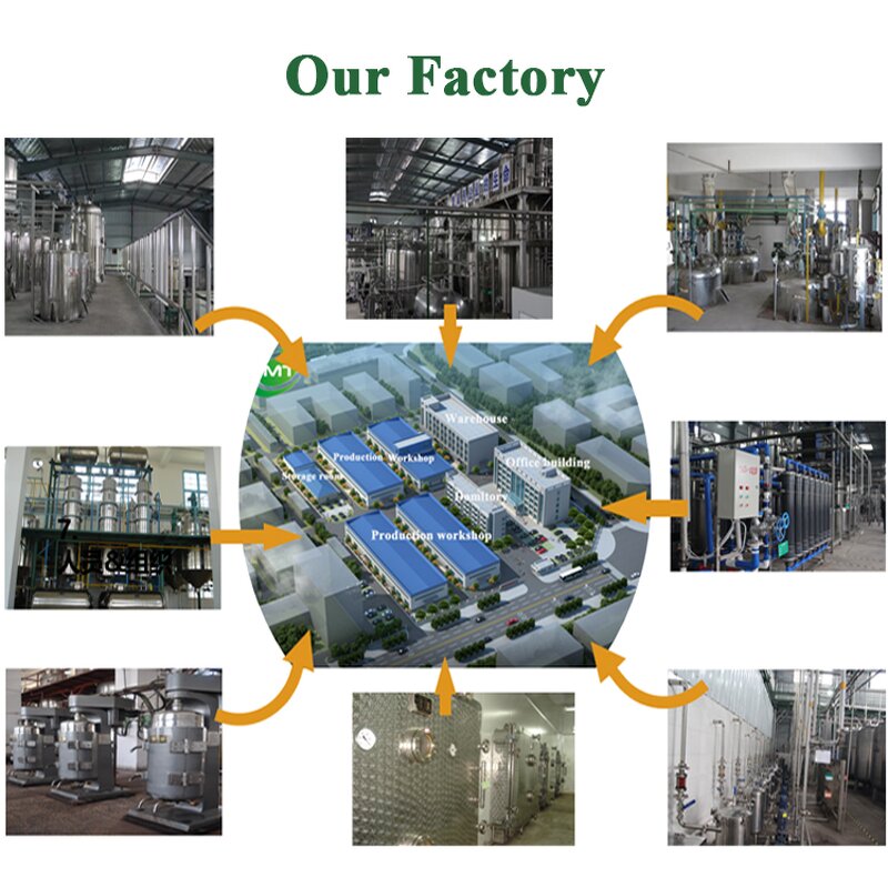 Purple Yam Extract - Dehydrated Natural Sweet Potato Bulk Good Flavor