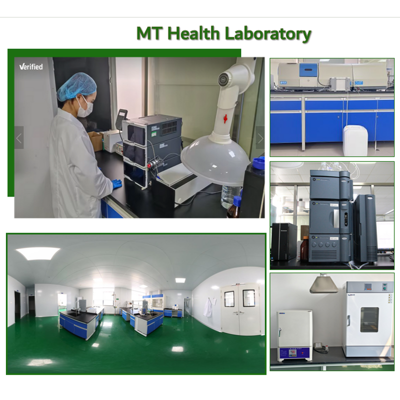 Lumbrokinase Powder - Earthworm Extract High Quality Bulk Free Sample