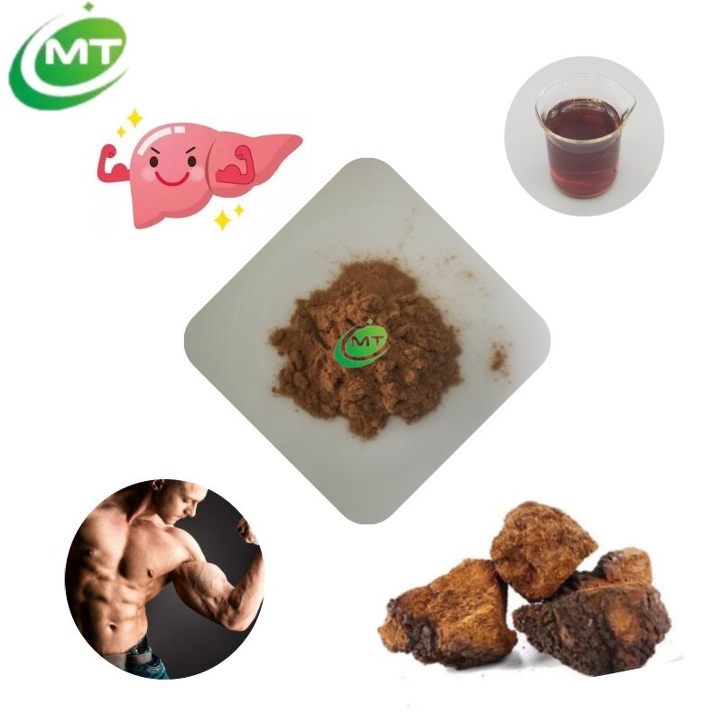 Chaga Mushroom Powder - 100% Pure Inonotus Obliquus Extract Organic Supplement